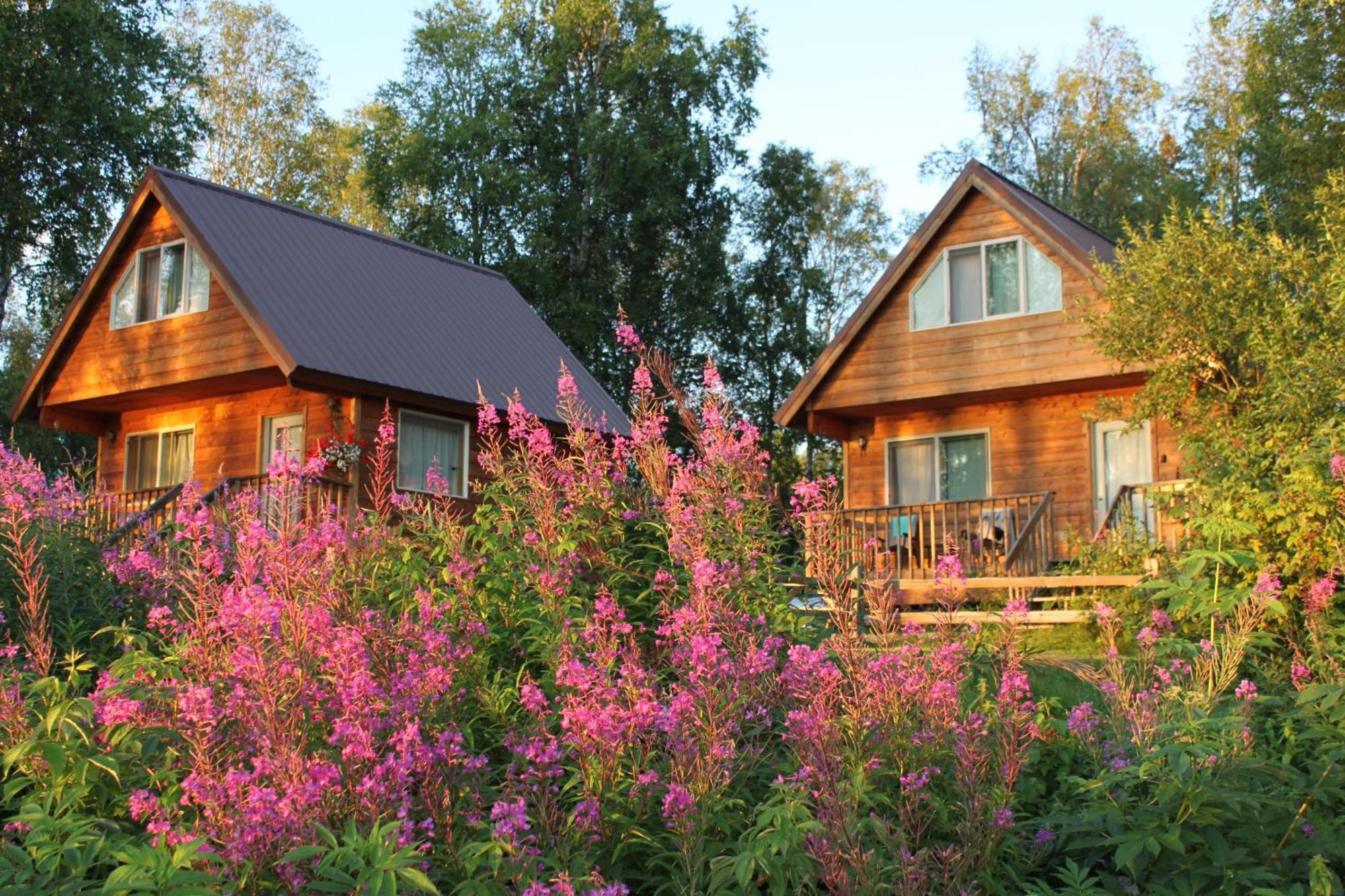 Susitna River Lodging, Riverside Cabins Talkeetna Ngoại thất bức ảnh