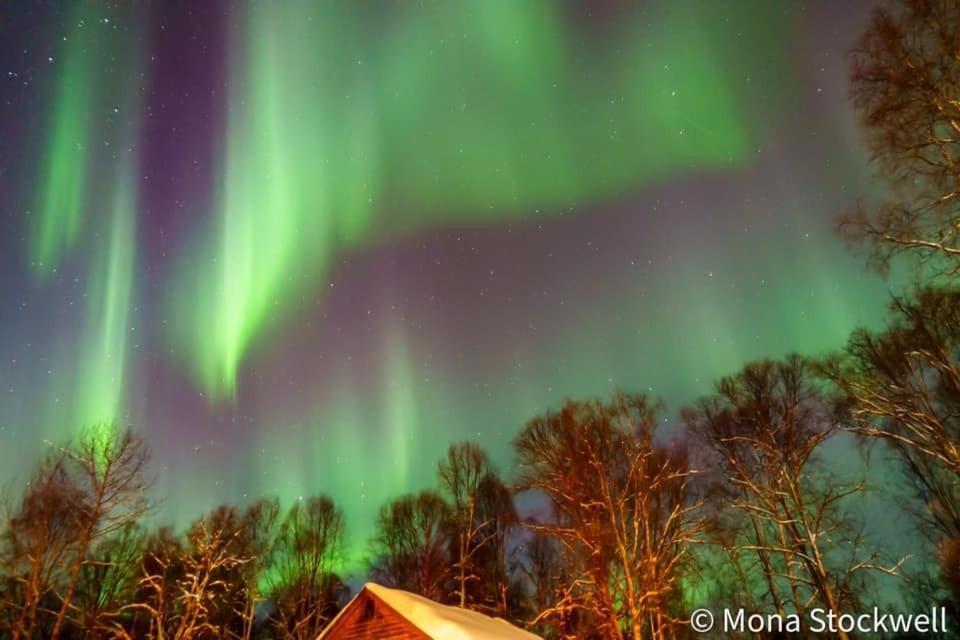 Susitna River Lodging, Riverside Cabins Talkeetna Ngoại thất bức ảnh