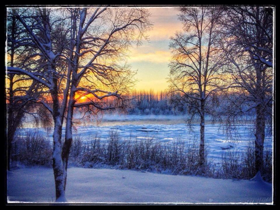 Susitna River Lodging, Riverside Cabins Talkeetna Ngoại thất bức ảnh